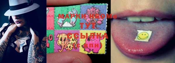 ECSTASY Богданович