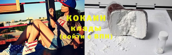 ECSTASY Богданович