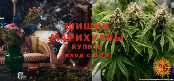 ECSTASY Богданович