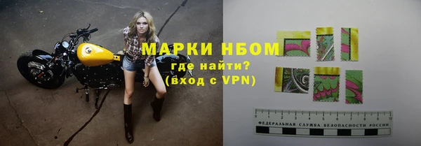ECSTASY Богданович