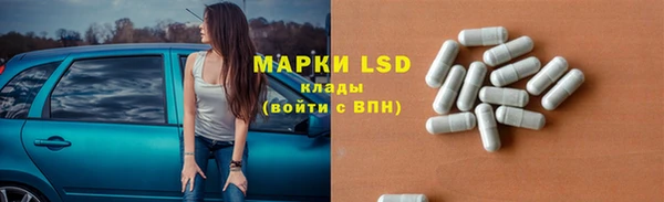 ECSTASY Богданович