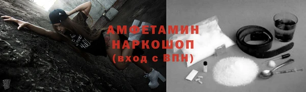 ECSTASY Богданович