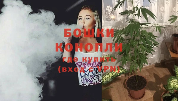 каннабис Белокуриха